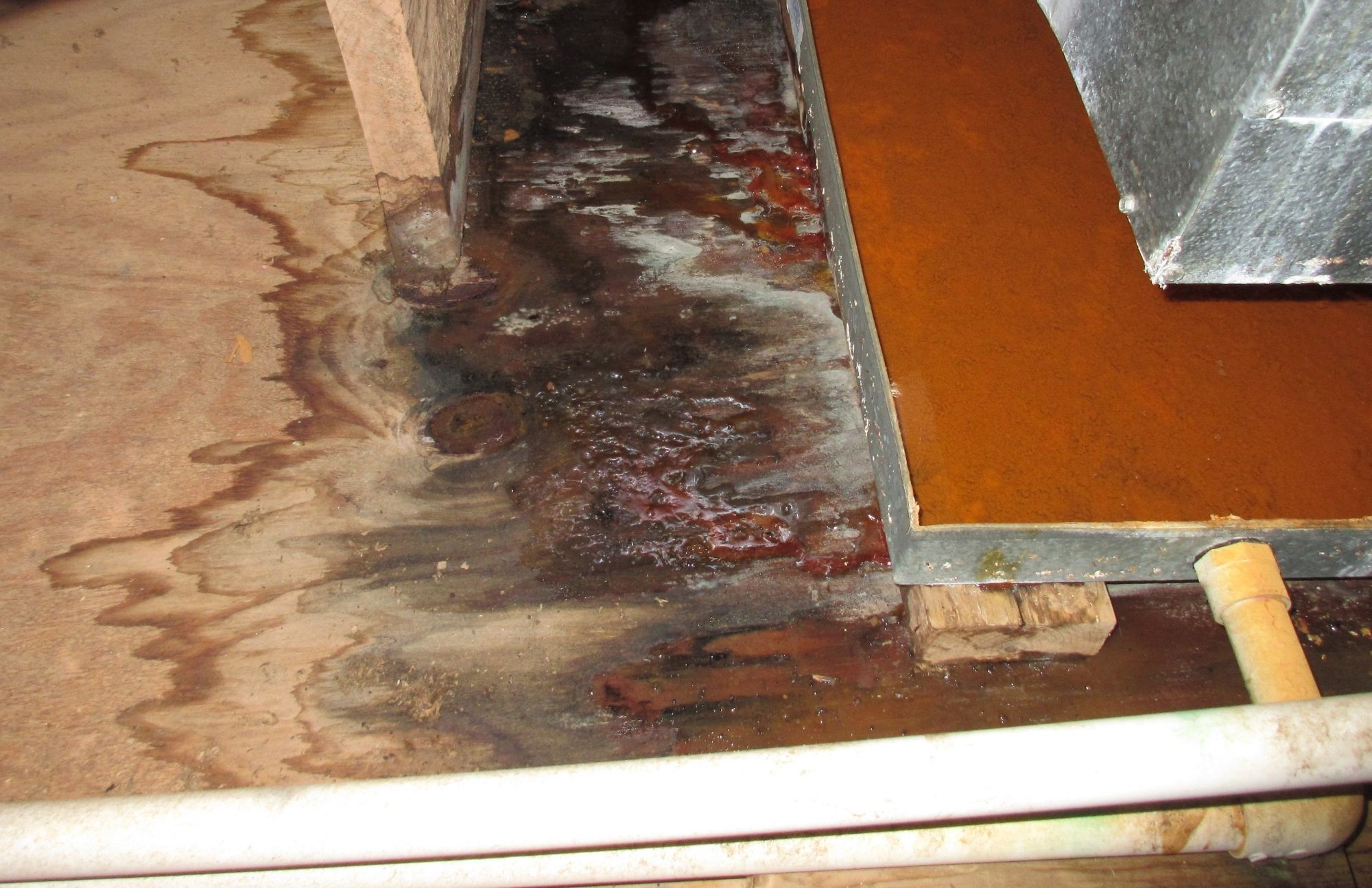 Venice Water Damage & Restoration Wizards